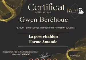 Pose chablon
